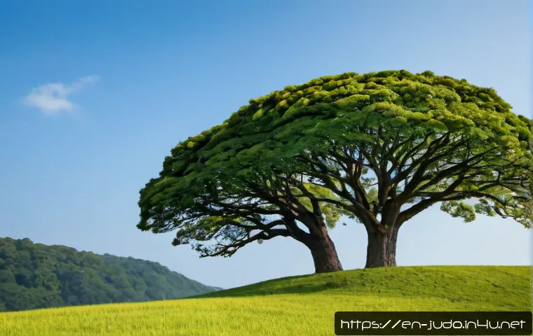 Judo and Philosophical Thinking: How Practice Shapes Judgment and Character 4 유도와 철학적 사고의 연결 관련 이미지 2